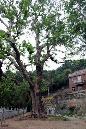 调整大小 132028e5ms8t8ecc1zrtos.jpg