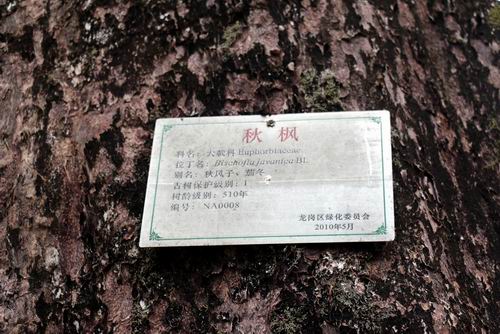 调整大小 132031shcexevcpxmk9piv.jpg