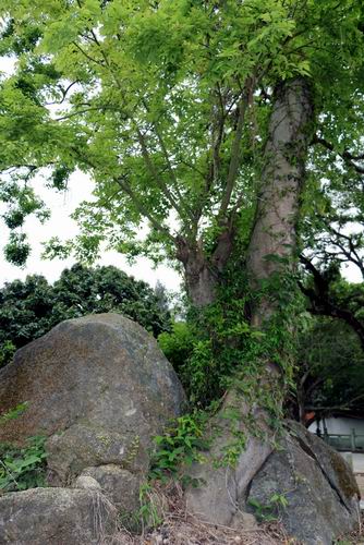 调整大小 132032ngyyt6rpp7kkm4a6.jpg