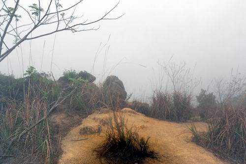 调整大小 132034ty9elyqqkl19tq1v.jpg