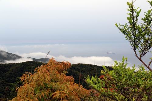 调整大小 132037bzoghx6xyh6iiuc6.jpg