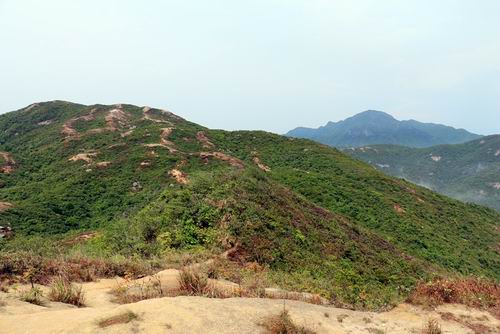 调整大小 132036jjzyw464kyv9hw4x.jpg