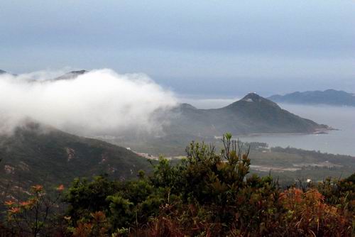 调整大小 132036mg1iz8it2296tsgo.jpg