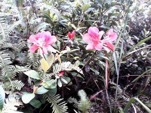 调整大小 132038cgsnlmunyypjg1lo.jpg