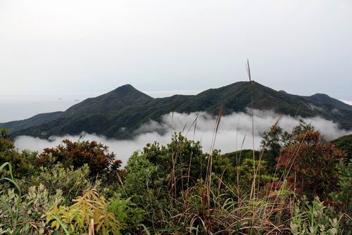 调整大小 132038iljzvuu2h2ju26u6.jpg