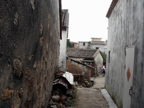 调整大小 132042gnhnsddlr0nhsnrs.jpg