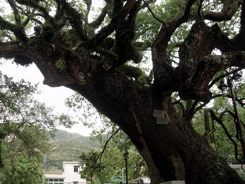 调整大小 132048o7x05ootklx7zoom.jpg