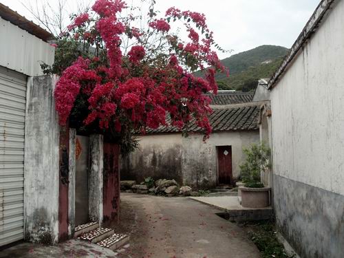 调整大小 132049xgd8mpz8m5d9erni.jpg