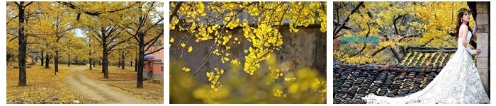 220504rh0e8id8egrhlyl9.jpg.thumb.jpg