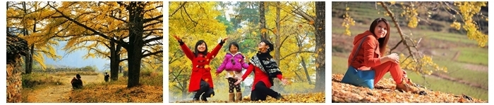 220505jk56zgbnjmj5ejzk.jpg.thumb.jpg