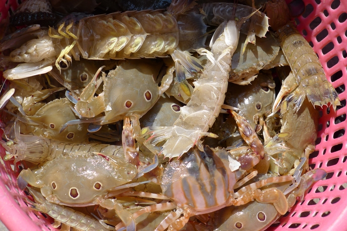 2011102416255436401.jpg