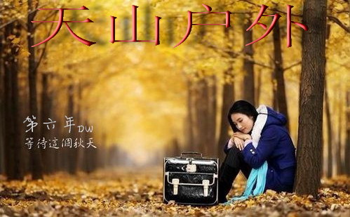 233847d8kouji4uqs9io83_jpg_thumb.jpg