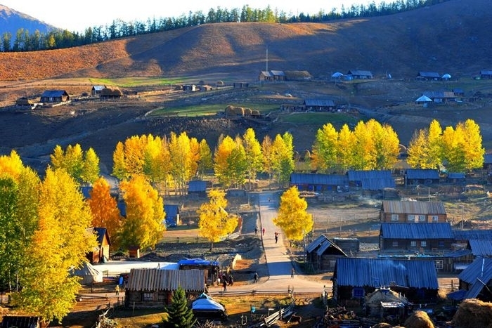 095121zv4crdwqvk91gumu.jpg